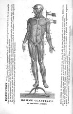 Homme Clastique du Dr Auzoux - Leçons élémentaires d'anatomie et de physiologie humaine et comparée  [...]