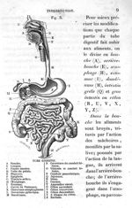 Fig. 3. Tube digestif - Leçons élémentaires d'anatomie et de physiologie humaine et comparée ; 2è éd [...]