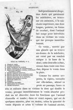 Fig. 10. Tête de vipères, n°2 - Leçons élémentaires d'anatomie et de physiologie humaine et comparée [...]