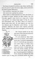 Fig. 19. Cœur de Dugong - Leçons élémentaires d'anatomie et de physiologie humaine et comparée ; 2è  [...]