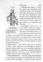 Fig. 20. Tube veineux vu intérieurement - Leçons élémentaires d'anatomie et de physiologie humaine e [...]