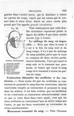 Fig. 22. Double circulation - Leçons élémentaires d'anatomie et de physiologie humaine et comparée ; [...]