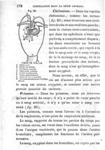 Fig. 25. Cœur de tortue - Leçons élémentaires d'anatomie et de physiologie humaine et comparée ; 2è  [...]