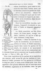 Fig. 26. Circulation des poissons - Leçons élémentaires d'anatomie et de physiologie humaine et comp [...]