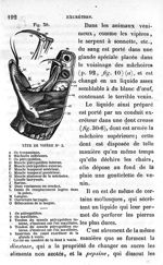 Fig. 30. Tête de vipères n°2 - Leçons élémentaires d'anatomie et de physiologie humaine et comparée  [...]
