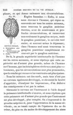 Fig. 51. Cerveau humain - Leçons élémentaires d'anatomie et de physiologie humaine et comparée ; 2è  [...]