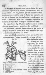 Fig. 68. Cœur de fœtus partagé en deux moitiés - Leçons élémentaires d'anatomie et de physiologie hu [...]