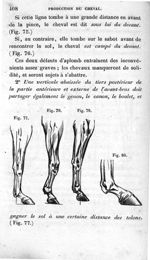[Fig. 77.] [Fig. 78.] [Fig. 79.] [Fig. 80.] - Leçons élémentaires d'anatomie et de physiologie humai [...]