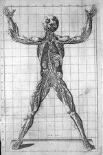 Tab. AA. - Exposition anatomique de la structure du corps humain, par Jacques-Benigne Winslow, de l' [...]