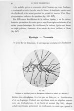 Fig. 168. Naissance du mycélium jeune du microsporum audouïni en culture (gr. 200 diam.). - Atlas de [...]