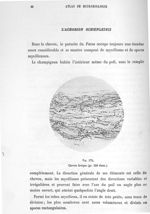 Fig. 175. Cheveu favique (gr. 250 diam.). - Atlas de microbiologie par E. Doyen et G. Roussel et de  [...]