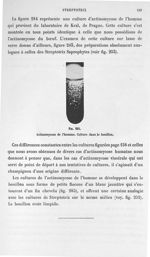 Fig. 285. Actinomycose de l'homme. Culture dans le bouillon. - Atlas de microbiologie par E. Doyen e [...]