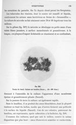 Fig. 308. Farcin du bœuf. Culture sur bouillon (Nocard) (gr. 400 diam.). - Atlas de microbiologie pa [...]