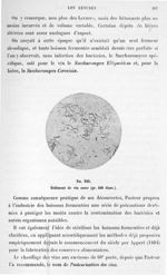 Fig. 323. Sédiment de vin amer (gr. 400 diam.). - Atlas de microbiologie par E. Doyen et G. Roussel  [...]