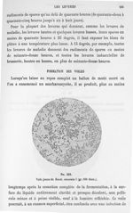 Fig. 339. Voile jeune du sacch. cerevisiae I (gr. 100 diam.). - Atlas de microbiologie par E. Doyen  [...]