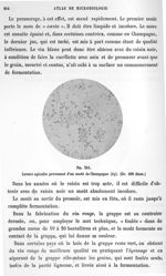 Fig. 351. Levure apiculée provenant d'un moût de Champagne (Ay) (gr. 400 diam.). - Atlas de microbio [...]