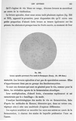 Fig. 352. Levure apiculée provenant d'un moût de Champagne (Bouzy) (gr. 400 diam.). - Atlas de micro [...]