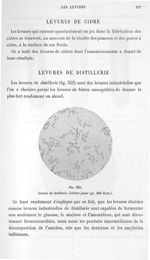 Fig. 353. Levure de distillerie. Culture jeune (gr. 400 diam.). - Atlas de microbiologie par E. Doye [...]