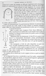 Fig. 50 / Fig. 51 - Traité de physique biologique. Tome premier