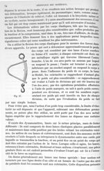 Fig. 67 - Traité de physique biologique. Tome premier