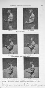 Fig. 142. Mouvements de flexion et d'extension de l'avant-bras sur le bras - Traité de physique biol [...]