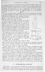 Fig. 153. Station assise, le corps droit - Traité de physique biologique. Tome premier