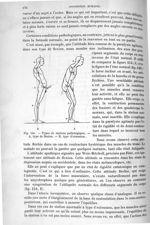 Fig. 154. Types de stations pathologiques - Traité de physique biologique. Tome premier