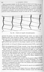 Fig. 228. Natation de l'anguille - Traité de physique biologique. Tome premier