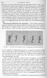 Fig. 230. Mouvement de la nageoire dorsale de l'hippocampe - Traité de physique biologique. Tome pre [...]