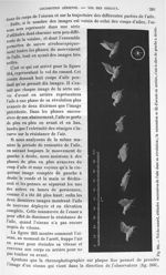 Fig. 264. Vol du canard, attitudes successives de l'aile dans sa révolution - Traité de physique bio [...]