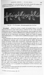 Fig. 267. Vol d'un pigeon, chronophotographie prise d'en haut - Traité de physique biologique. Tome  [...]