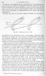 Fig. 270. Manœuvres du vol à voile - Traité de physique biologique. Tome premier