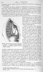 Fig. 290. Redressement de l'axe du cœur pendant la systole - Traité de physique biologique. Tome pre [...]