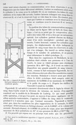 Fig. 316. Appareil de Stolnikow pour mesurer le débit du ventricule gauche - Traité de physique biol [...]