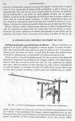 Fig. 396. Nouveau sphygmographe volumétrique à double levier amplificateur - Traité de physique biol [...]