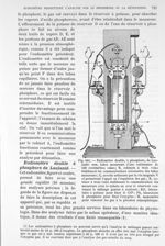 Fig. 481. Eudiomètre double, à phosphore, de Laulanié - Traité de physique biologique. Tome premier