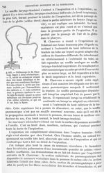 Fig. 492. Stéthoscope de M. Chauveau - Traité de physique biologique. Tome premier