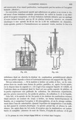 Fig. 512 / Fig. 513 - Traité de physique biologique. Tome premier