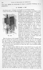 Fig. 536 - Traité de physique biologique. Tome premier