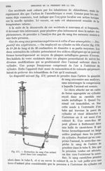 Fig. 571. Extraction du sang d'un animal placé dans l'air comprimé - Traité de physique biologique.  [...]