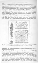 Fig. 588. Expériences de G. Bonnier. Comparaison de la même espèce du tissu en palissade de la feuil [...]