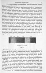 Fig. 47 - Traité de physique biologique. Tome deuxième