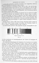 Fig. 49 - Traité de physique biologique. Tome deuxième