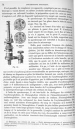 Fig. 56 - Traité de physique biologique. Tome deuxième