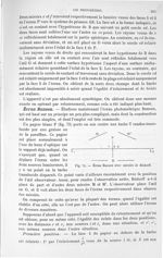 Fig. 75. Ecran Bunsen avec miroirs de Rüdorff. - Traité de physique biologique. Tome deuxième