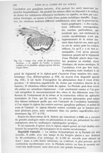 Fig. 175. Coupe d'une ocelle de Dendrocoelum lacteum. - Traité de physique biologique. Tome deuxième
