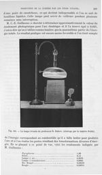 Fig. 194. La lampe vivante du professeur R. Dubois. - Traité de physique biologique. Tome deuxième