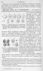 Fig. 195 / Fig. 196 - Traité de physique biologique. Tome deuxième
