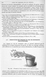Fig. 198. Plantules de Vesce courbées vers la source de lumière. - Traité de physique biologique. To [...]