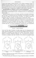 Fig. 217. Sonde de Einhorn/ Fig. 218. Zone lumineuse de l'estomac, de la dilatation de l'estomac et  [...]
